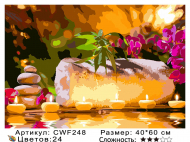 CWF248 рисование по номерам 40*60 цвет.холст  CWF248 рисование по номерам 40*60 цвет.холст