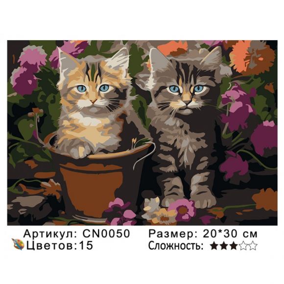 CN0050 Картины по номерам 20*30 цвет.холст Под заказ
