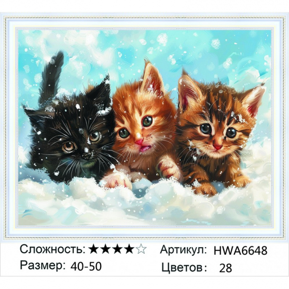 HWA 6648 Под заказ 