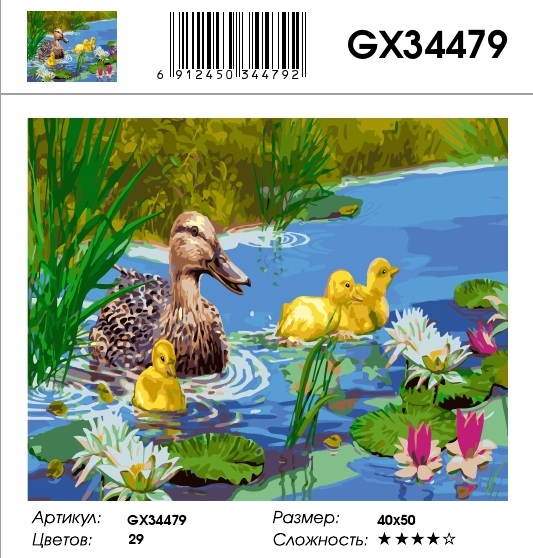 GX 34479  GX 34479