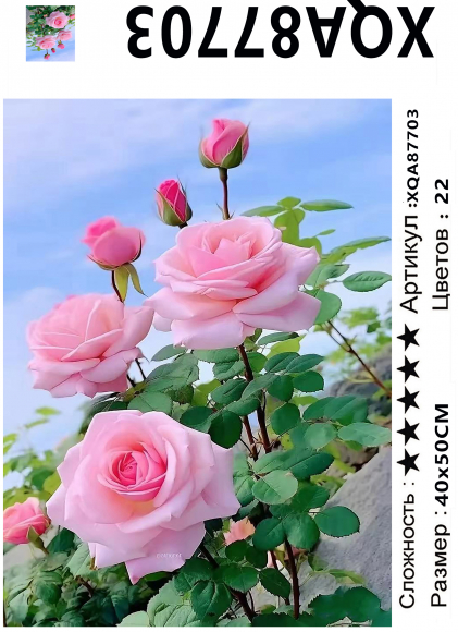 XQA87703 Мозаика 40*50 круг.стразы Под заказ  