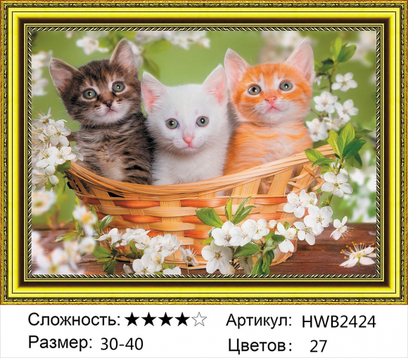 HWB2424 Под заказ