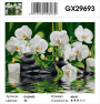 GX 29693
