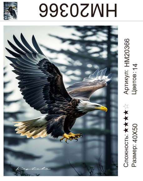 HM20366 Под заказ HM20366 Под заказ