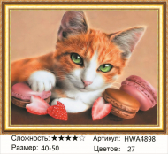 HWA 4898 HWA 4898