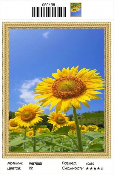 WB7080 Мозаика 40*50 круглые стразы Под заказ WB7080 Мозаика 40*50 круглые стразы Под заказ