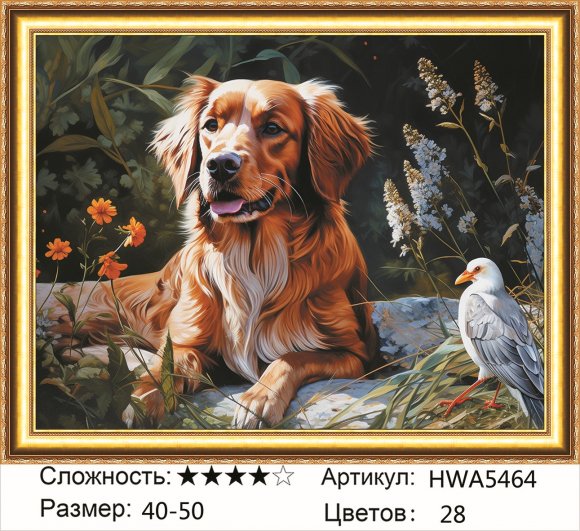 HWA 5464 Под заказ Опт + розница