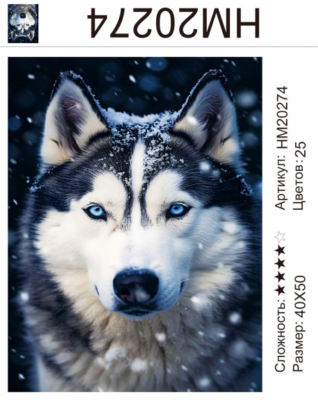 HM20274 Под заказ