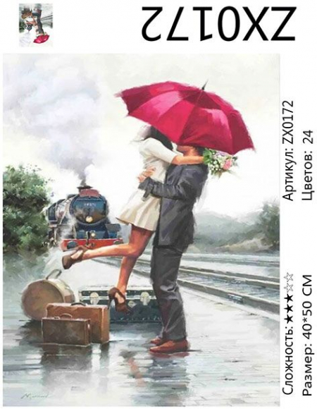 ZX 0172 Долгожданная встреча