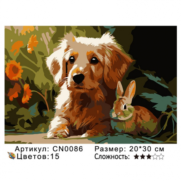 CN0086 Картины по номерам 20*30 цвет.холст Под заказ