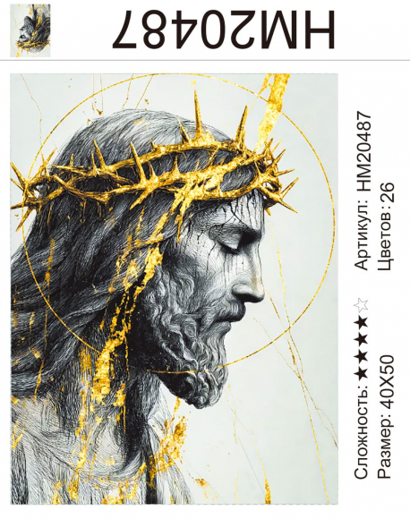 HM20487 Под заказ 