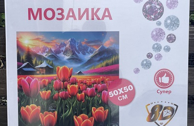 Алмазная мозаика 50х50